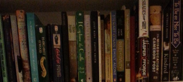 bookshelf crammed with books